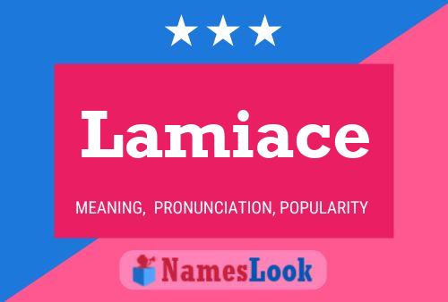 Lamiace Name Poster