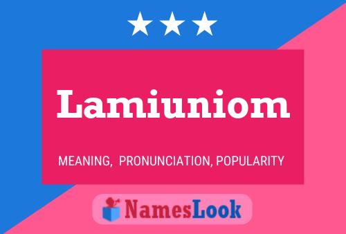 Lamiuniom Name Poster