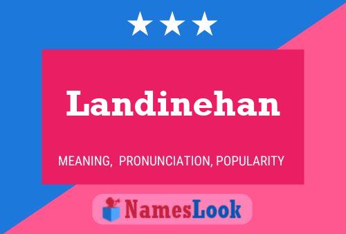 Landinehan Name Poster