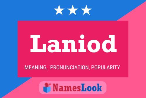 Laniod Name Poster