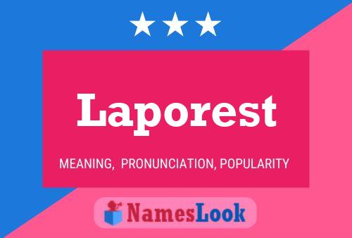 Laporest Name Poster