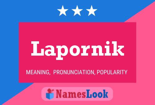 Lapornik Name Poster