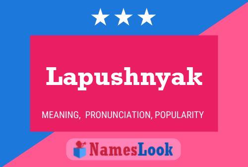 Lapushnyak Name Poster