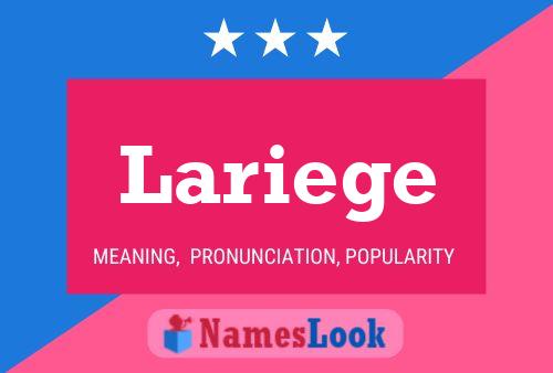 Lariege Name Poster