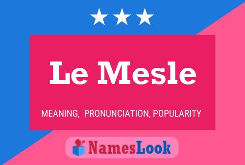 Le Mesle Name Poster