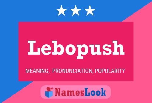 Lebopush Name Poster