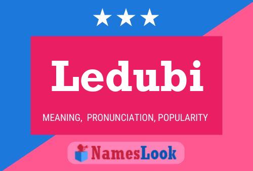 Ledubi Name Poster