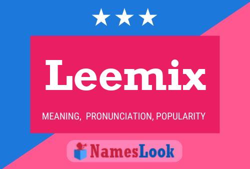 Leemix Name Poster