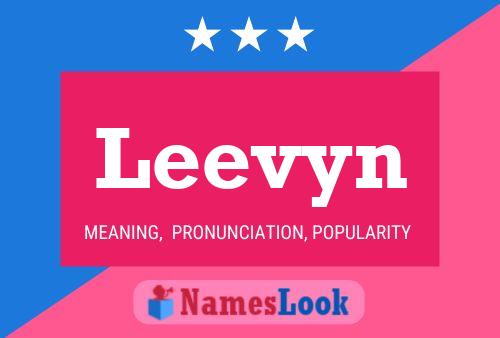 Leevyn Name Poster