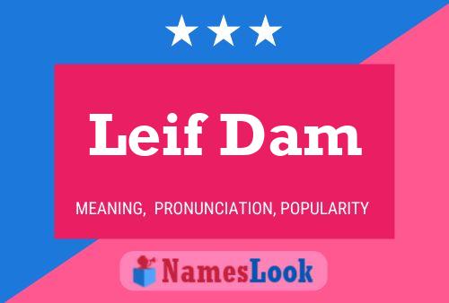 Leif Dam Name Poster