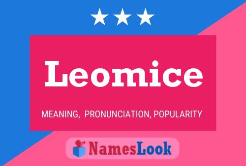 Leomice Name Poster