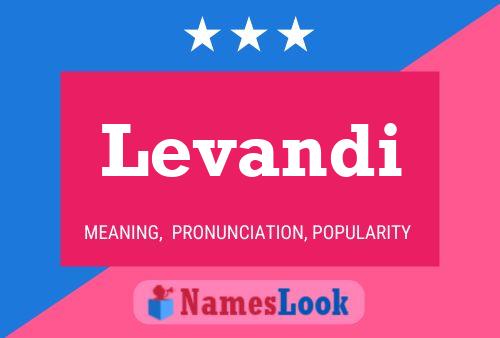 Levandi Name Poster