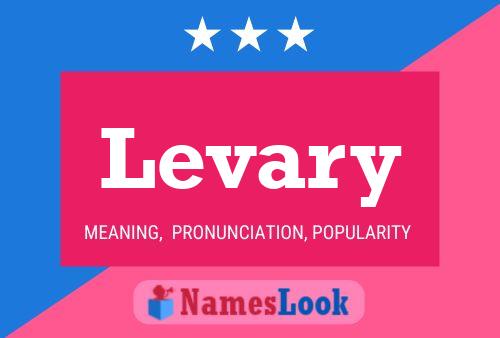 Levary Name Poster