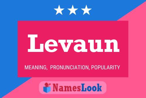 Levaun Name Poster