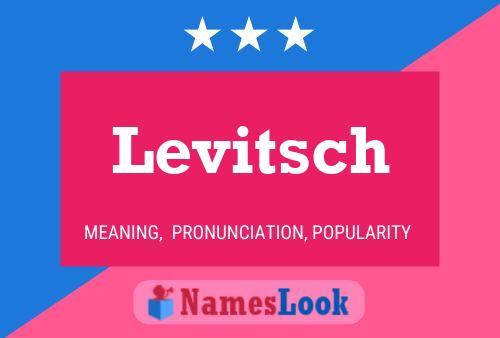 Levitsch Name Poster