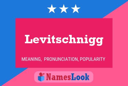 Levitschnigg Name Poster