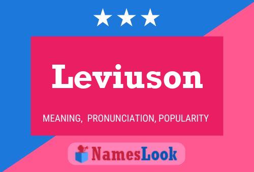 Leviuson Name Poster