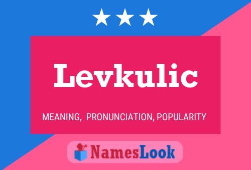 Levkulic Name Poster