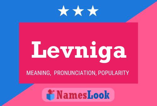 Levniga Name Poster