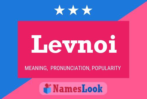 Levnoi Name Poster