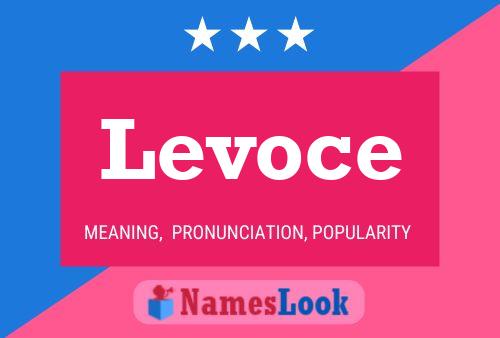 Levoce Name Poster