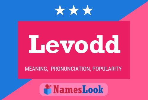 Levodd Name Poster