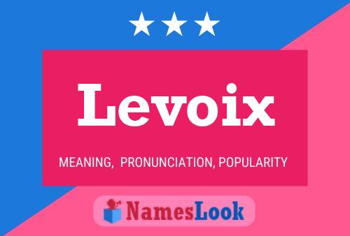 Levoix Name Poster