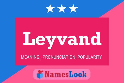 Leyvand Name Poster