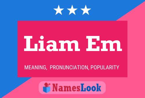 Liam Em Name Poster