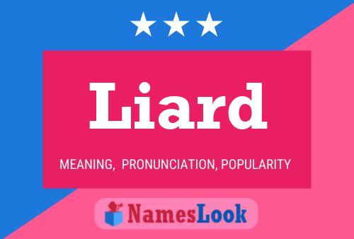 Liard Name Poster