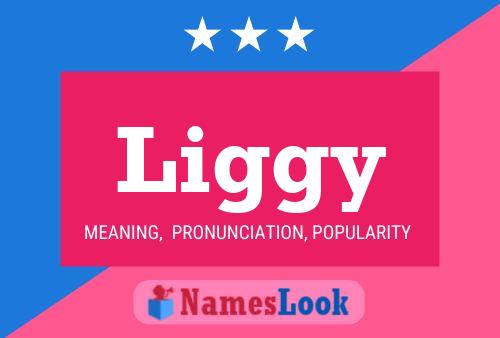 Liggy Name Poster