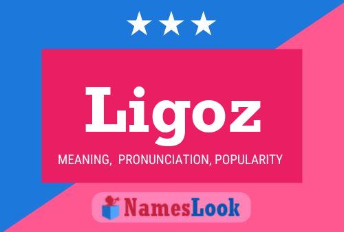 Ligoz Name Poster