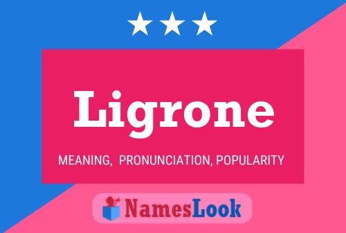 Ligrone Name Poster