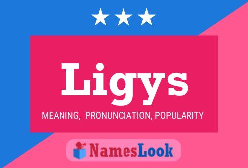 Ligys Name Poster