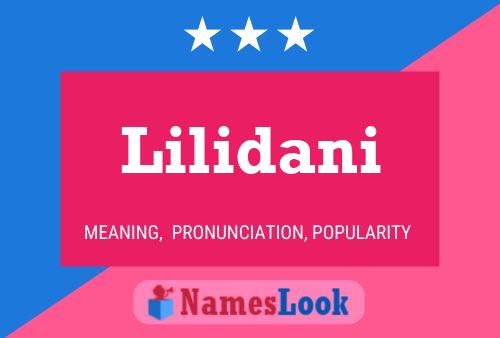 Lilidani Name Poster