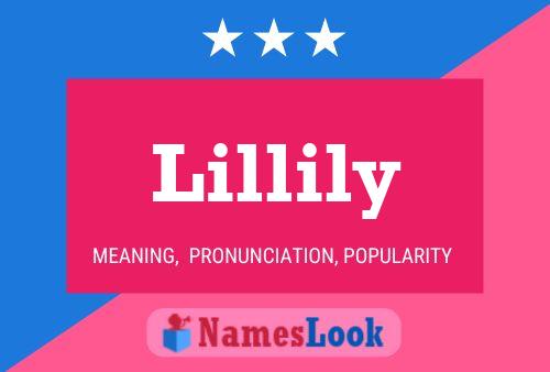 Lillily Name Poster