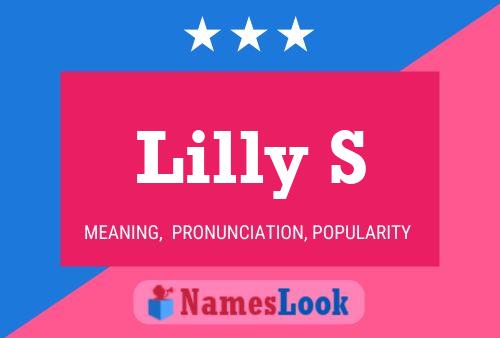 Lilly S Name Poster