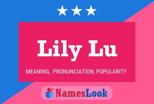 Lily Lu Name Poster