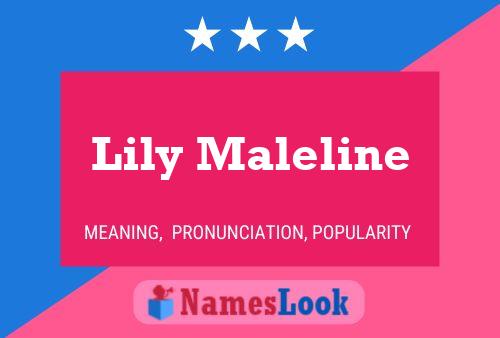 Lily Maleline Name Poster