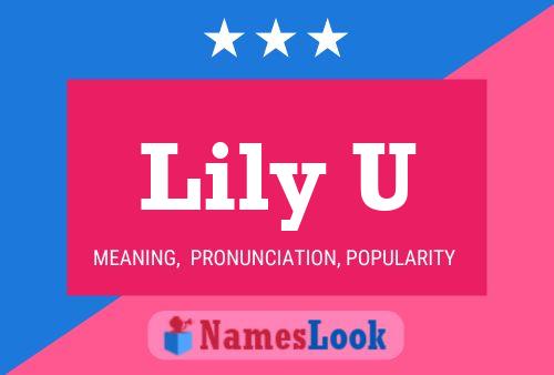 Lily U Name Poster