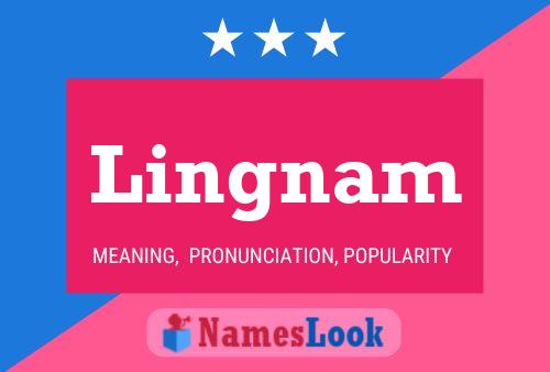 Lingnam Name Poster