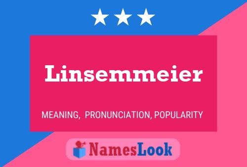 Linsemmeier Name Poster