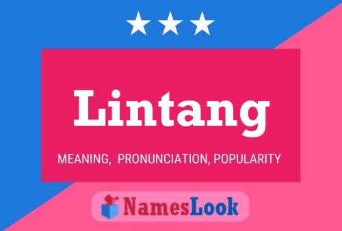 Lintang Name Poster