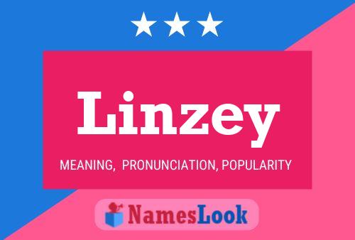 Linzey Name Poster