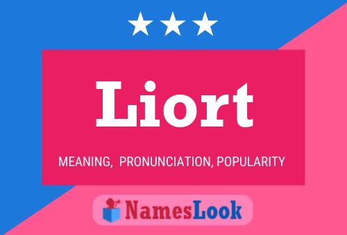 Liort Name Poster