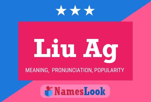 Liu Ag Name Poster