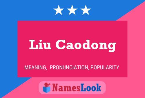 Liu Caodong Name Poster