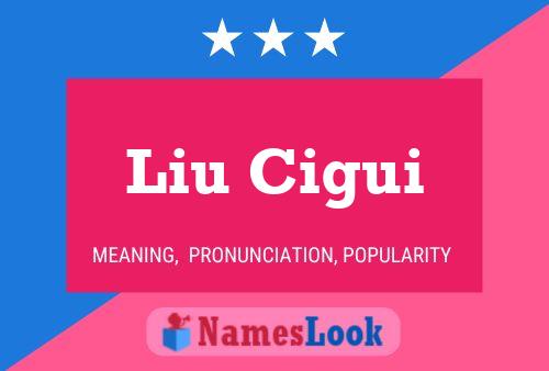 Liu Cigui Name Poster