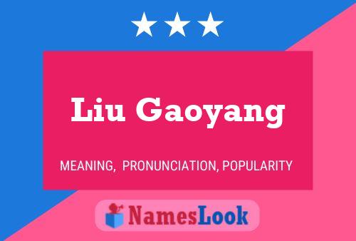 Liu Gaoyang Name Poster