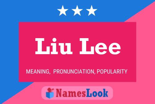 Liu Lee Name Poster